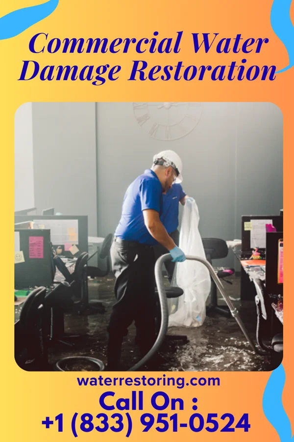 Commercial Water Damage Restoration in Island Park, ID